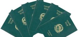 passport-in-nepal-rahadani