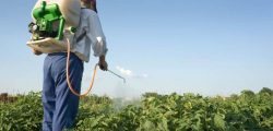 pesticides-use