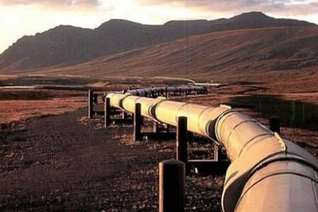 petrolim_line_rDmyr82YKk