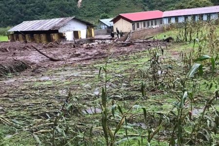 phulpingkatti-pahiro1-1672020034410-1000x0