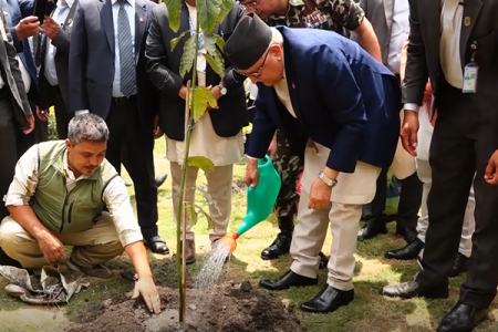 pm-oli-biruwa-ropai