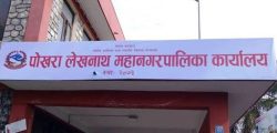 pokhara-mahanagarpalika