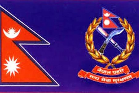 policefinal