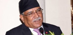 prachanda 12