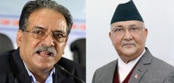 prachanda-and-kp-oli