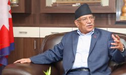 prachanda__tGgNooAKhL