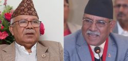 prachanda_madhav_nepal
