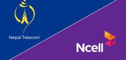 ncell and ntc