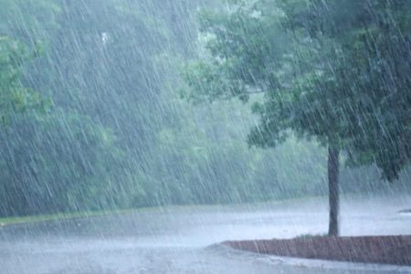 rainfall-_20200505063948