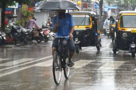 rainfall_in_india