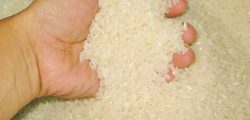 rice_import