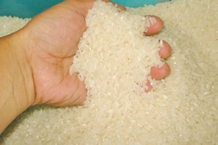 rice_import
