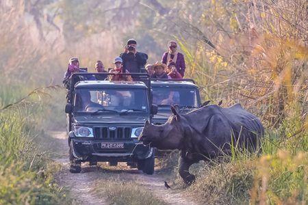 sauraha jeep safari