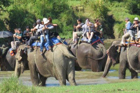 sauraha