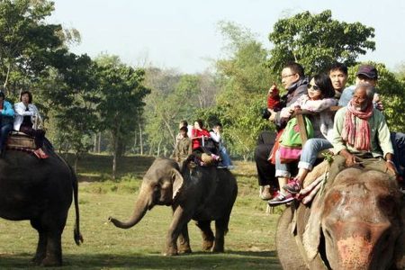 sauraha