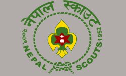 scout-