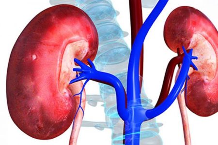 share-kidney-failure-768x403_ZXRCd6vRfW