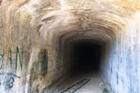 surung-old