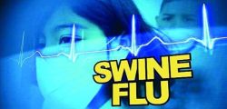swine-flu-H1N1