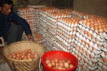 target-to-have-38-crore-egg-production-74965