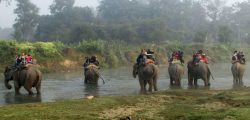 tourism chitawan(6)