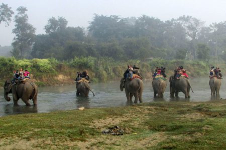 tourism chitawan(6)