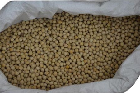 white-peas-500x500