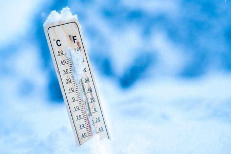 will-cockroaches-freeze-to-death-in-cold-temperatures