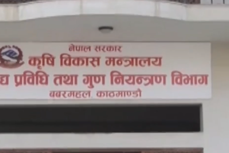 खाद्य