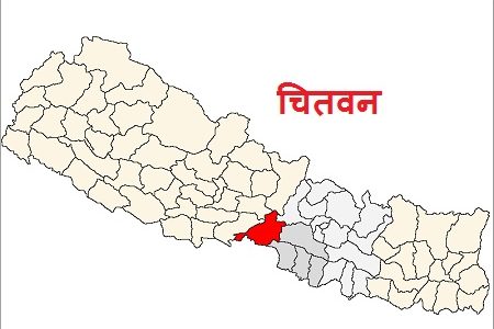 पशु