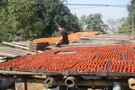 लप्सीको-१०-परिकार