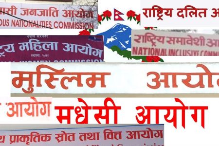 संवैधानिक-आयोगहरु